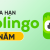 Duolingo-gia-han-1y