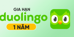 Duolingo-gia-han-1y