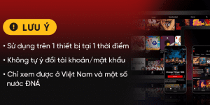 Netflix Premium 1M LuuY 53011